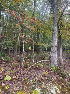 7 Acres of Vacant Land in Howell County Missouri - image 2