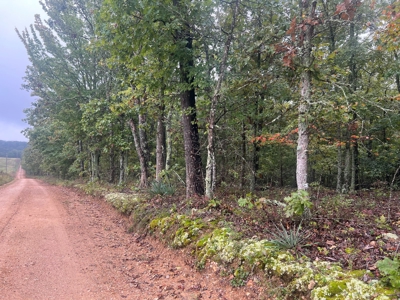 7 Acres of Vacant Land in Howell County Missouri - image 1