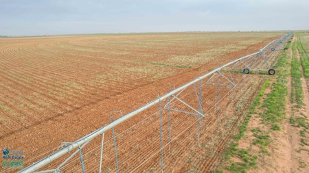Thompson Half Circle CR 322 In Lamb County, TX! - image 15
