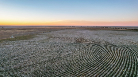Thompson Half Circle CR 322 In Lamb County, TX! - image 18