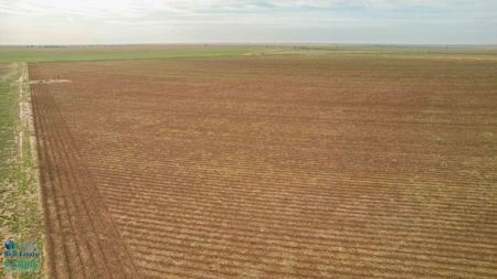 Thompson Half Circle CR 322 In Lamb County, TX! - image 14