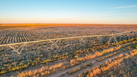 Thompson Half Circle CR 322 In Lamb County, TX! - image 33