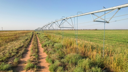 Thompson Half Circle CR 322 In Lamb County, TX! - image 2