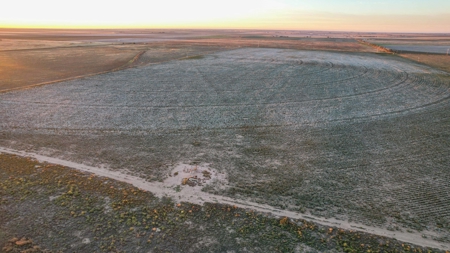 Thompson Half Circle CR 322 In Lamb County, TX! - image 22