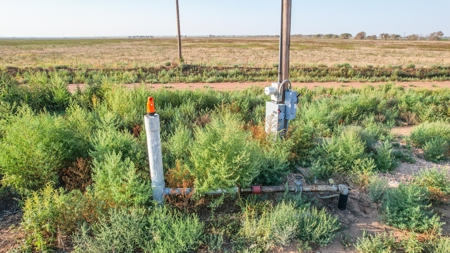Thompson Half Circle CR 322 In Lamb County, TX! - image 4