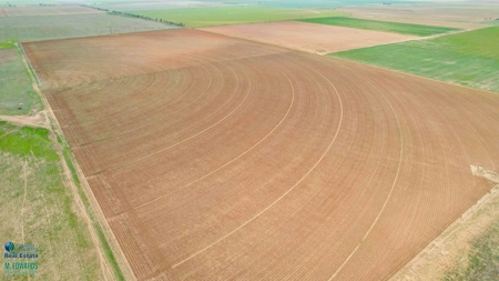 Thompson Half Circle CR 322 In Lamb County, TX! - image 8