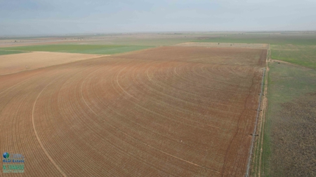 Thompson Half Circle CR 322 In Lamb County, TX! - image 11