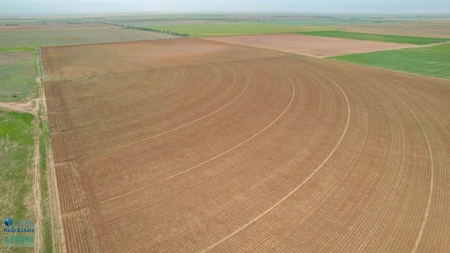 Thompson Half Circle CR 322 In Lamb County, TX! - image 6