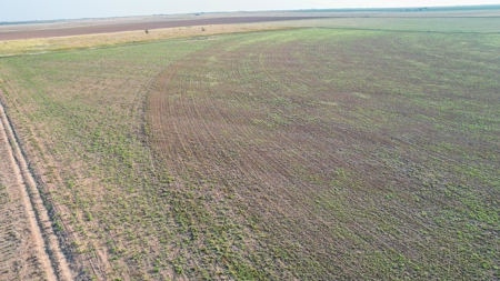 Thompson Half Circle CR 322 In Lamb County, TX! - image 5