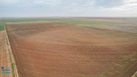 Thompson Half Circle CR 322 In Lamb County, TX! - image 13
