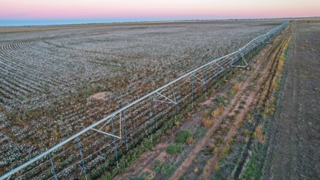 Thompson Half Circle CR 322 In Lamb County, TX! - image 19