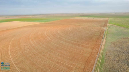 Thompson Half Circle CR 322 In Lamb County, TX! - image 9