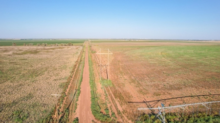 Thompson Half Circle CR 322 In Lamb County, TX! - image 3