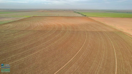 Thompson Half Circle CR 322 In Lamb County, TX! - image 7