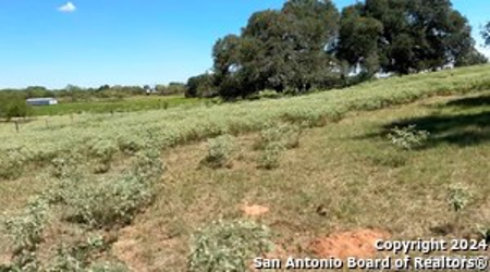 Investment Property For Sale in Floresville, Texas - image 23