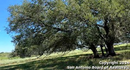 Investment Property For Sale in Floresville, Texas - image 22