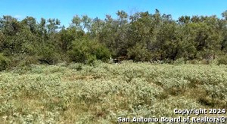 Investment Property For Sale in Floresville, Texas - image 21
