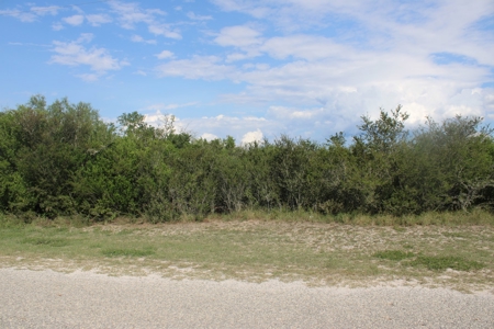 2.13 Unrestricted Acres in Orange Grove, TX Jim Wells County - image 4