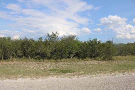 2.13 Unrestricted Acres in Orange Grove, TX Jim Wells County - image 3