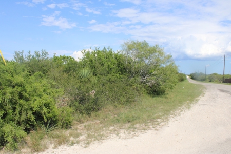 2.13 Unrestricted Acres in Orange Grove, TX Jim Wells County - image 6