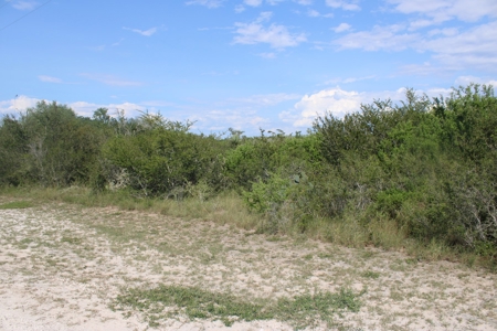 2.13 Unrestricted Acres in Orange Grove, TX Jim Wells County - image 5