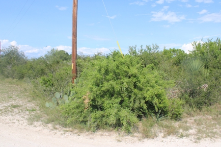 2.13 Unrestricted Acres in Orange Grove, TX Jim Wells County - image 7