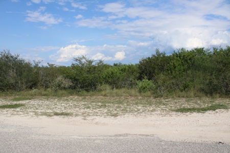 2.13 Unrestricted Acres in Orange Grove, TX Jim Wells County - image 1