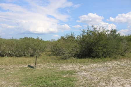 2.13 Unrestricted Acres in Orange Grove, TX Jim Wells County - image 2