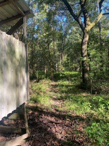 Atchafalaya  Basin  Hunting - Sportsman's  Paradise - image 13