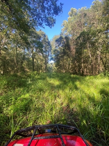 Atchafalaya  Basin  Hunting - Sportsman's  Paradise - image 15
