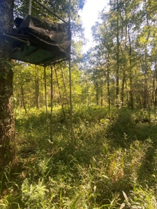 Atchafalaya  Basin  Hunting - Sportsman's  Paradise - image 2