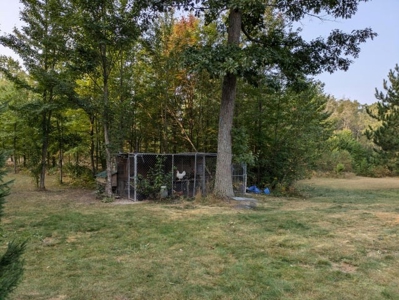 Log Home w/  10 Acres For Sale Comins MI Montmorency Cty - image 3