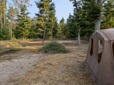 Log Home w/  10 Acres For Sale Comins MI Montmorency Cty - image 39