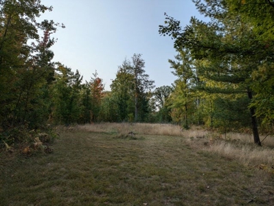 Log Home w/  10 Acres For Sale Comins MI Montmorency Cty - image 7
