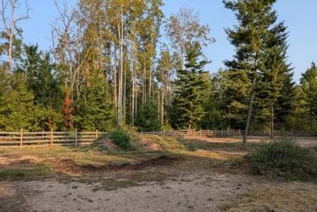 Log Home w/  10 Acres For Sale Comins MI Montmorency Cty - image 40