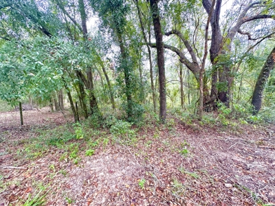 Land For Sale In Lafayette County!!! - image 2