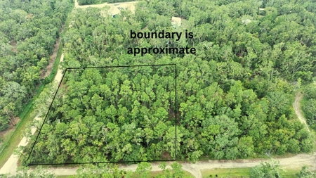 Land For Sale In Lafayette County!!! - image 1