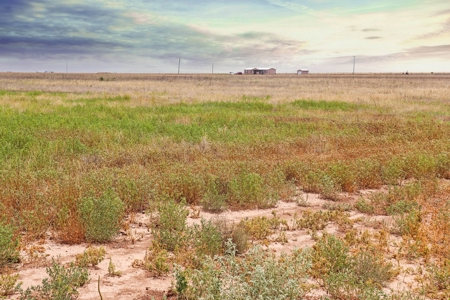 Wildorado Texas Land for Sale, Acreage in Deaf Smith County - image 11