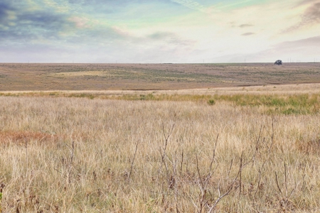 Wildorado Texas Land for Sale, Acreage in Deaf Smith County - image 4
