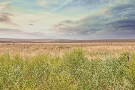 Wildorado Texas Land for Sale, Acreage in Deaf Smith County - image 9
