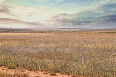 Wildorado Texas Land for Sale, Acreage in Deaf Smith County - image 2