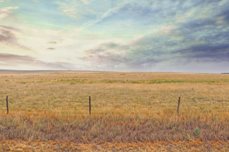 Wildorado Texas Land for Sale, Acreage in Deaf Smith County - image 13