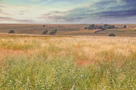 Wildorado Texas Land for Sale, Acreage in Deaf Smith County - image 7