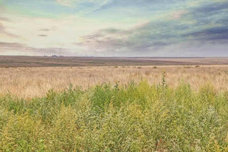 Wildorado Texas Land for Sale, Acreage in Deaf Smith County - image 10