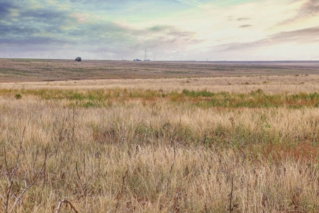 Wildorado Texas Land for Sale, Acreage in Deaf Smith County - image 5