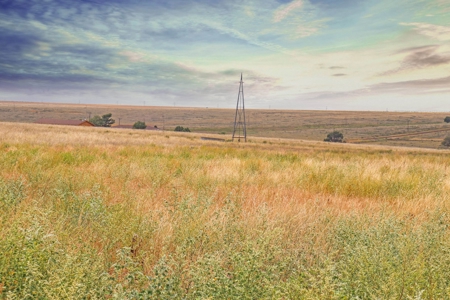 Wildorado Texas Land for Sale, Acreage in Deaf Smith County - image 6