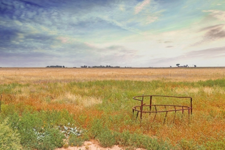 Wildorado Texas Land for Sale, Acreage in Deaf Smith County - image 12