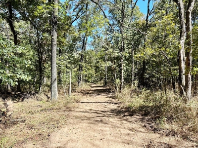 Vernon County Missouri Recreational Land for Sale - image 7