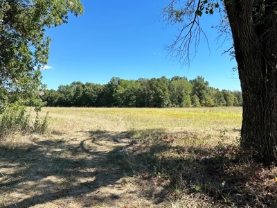 Vernon County Missouri Recreational Land for Sale - image 2