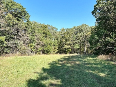 Vernon County Missouri Recreational Land for Sale - image 42